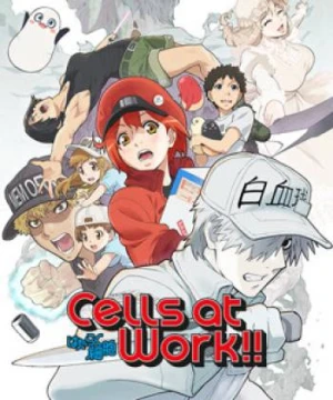 Khi Các Tế Bào Làm Việc (Phần 2) - Cells at Work! S2