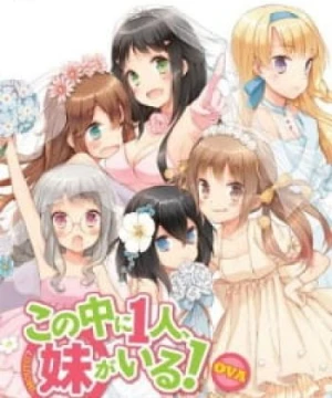 Kono Naka ni Hitori, Imouto ga Iru!: Ani, Imouto, Koibito - Kono Naka ni Hitori, Imouto ga Iru! OVA, Kono Naka ni Hitori, Imouto ga Iru! Episode 13, NakaImo, One of Them is My Younger Sister! OVA, Who is Imouto? OVA, NAKAIMO - My Little Sister Is Among Them! OVA