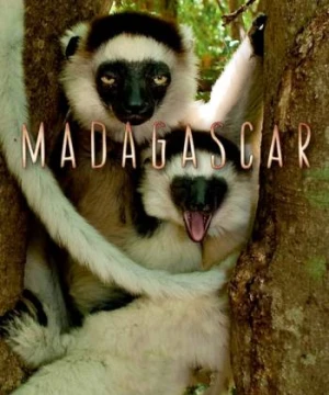 Madagascar 2011