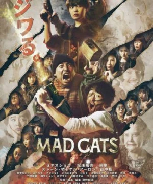 Mèo Điên - Mad Cats