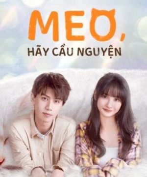 Meo, Hãy Cầu Nguyện - Make a wish