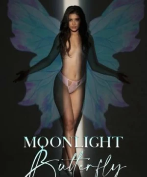 Moonlight Butterfly - Moonlight Butterfly
