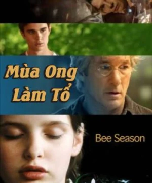 Mùa Ong Làm Tổ - Bee Season