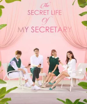 Nàng Thư Ký Của Tôi - The Secret Life of My Secretary