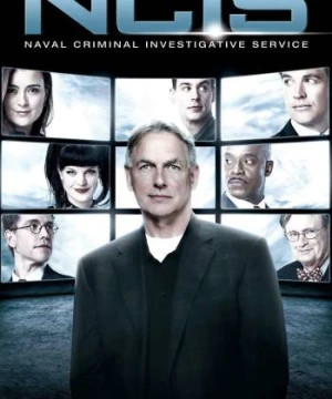 NCIS (Phần 10) - NCIS Season 10