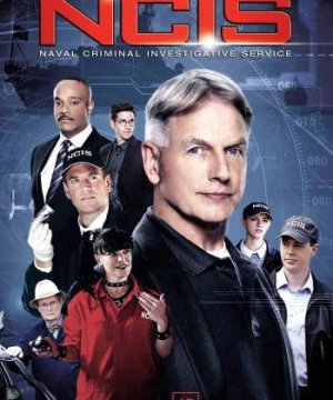 NCIS (Phần 12) - NCIS Season 12