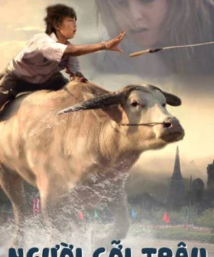 Người Cỡi Trâu - Buffalo Rider