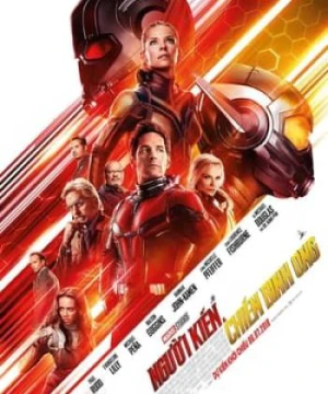 Người Kiến và Chiến Binh Ong - Ant-Man And The Wasp