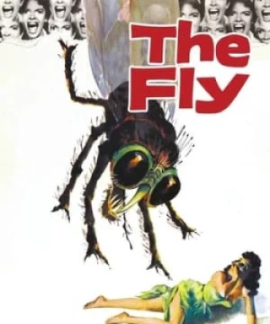 Người Ruồi The Fly