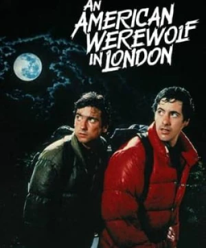 Người Sói Mỹ ở London - An American Werewolf in London