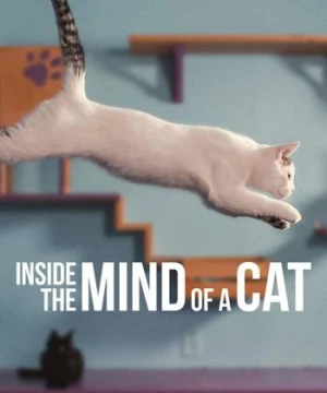 Những chú mèo nghĩ gì - Inside the Mind of a Cat