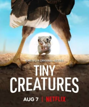 Những sinh vật tí hon - Tiny Creatures