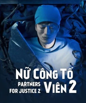 Nữ công tố viên (Phần 2) - Partners for Justice 2 (Season 2)