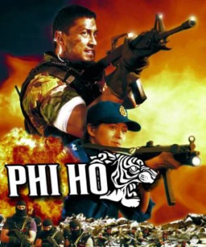 Phi Hổ - First Option