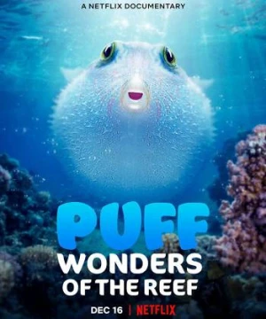 Puff: Rạn San Hô Kỳ Diệu Puff: Wonders Of The Reef