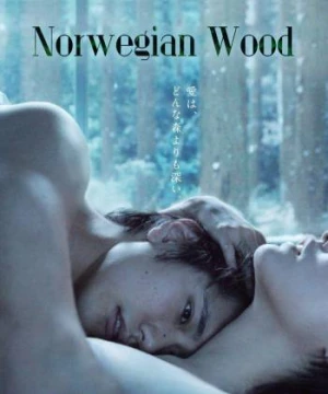 Rừng Na Uy Norwegian Wood