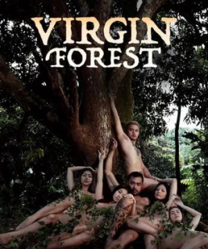 Rừng Trinh Nữ - Virgin Forest