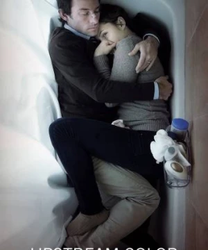 Sắc Màu Ngược Dòng - Upstream Color