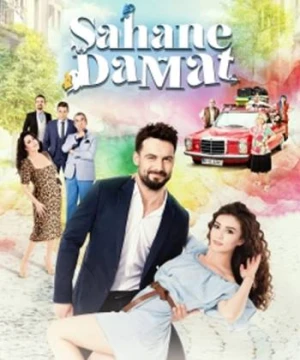 Sahane Damat Perfect Groom