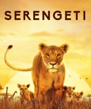 Serengeti - Serengeti