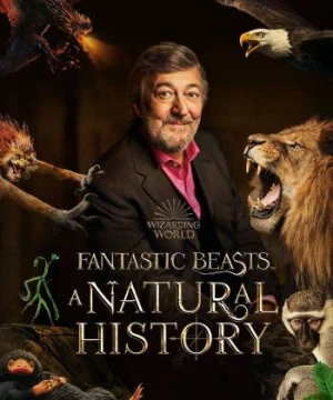 Sinh Vật Huyền Bí: Lịch Sử Tự Nhiên - Fantastic Beasts: A Natural History