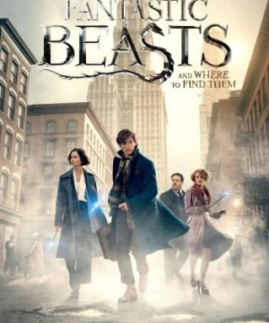 Sinh Vật Huyền Bí và Nơi Tìm Ra Chúng - Fantastic Beasts and Where to Find Them