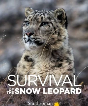 Survival Of The Snow Leopard - Survival Of The Snow Leopard