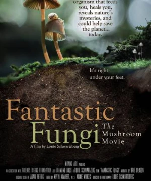 Thế giới nấm diệu kỳ - Fantastic Fungi