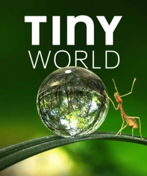 Thế Giới Siêu Nhỏ (Phần 1) - Tiny World (Season 1)