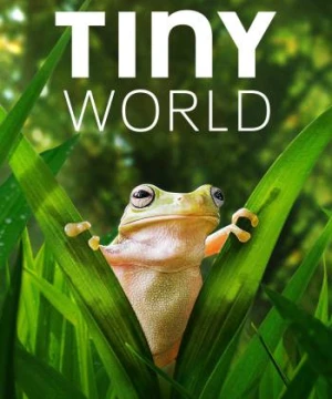 Thế Giới Siêu Nhỏ (Phần 2) - Tiny World (Season 2)