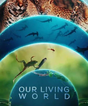 Thế giới sống của chúng ta - Our Living World