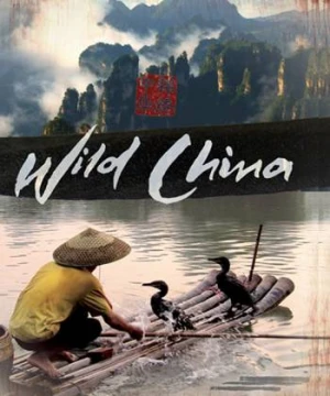 Thiên Nhiên Hoang Dã Trung Quốc - Wild China