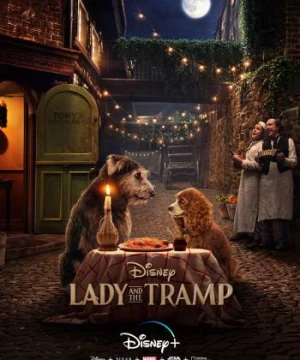 Tiểu Thư Và Gã Lang Thang - Lady and the Tramp