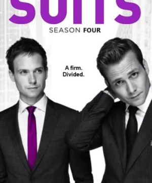 Tố Tụng (Phần 4) - Suits (Season 4)