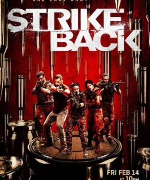 Trả Đũa (Phần 8) - Strike Back (Season 8)