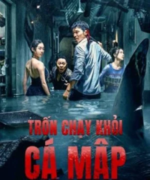 Trốn Chạy Khỏi Cá Mập - Escape the Shark