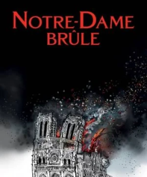 Vụ Cháy Ở Pari - Notre-Dame Brûle