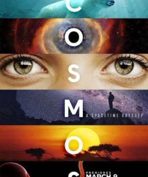 Vũ Trụ Kỳ Diệu Phần 1 - Cosmos: A SpaceTime Odyssey (Season 1)