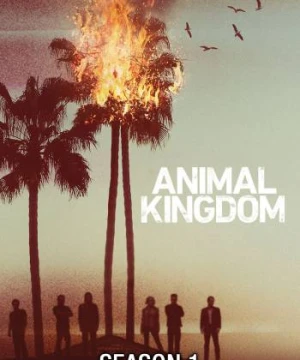 Vương quốc động vật (Phần 1) Animal Kingdom (Season 1)