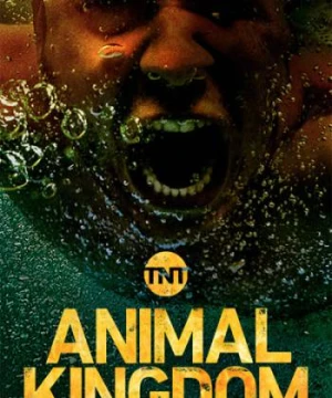 Vương quốc động vật (Phần 3) - Animal Kingdom (Season 3)