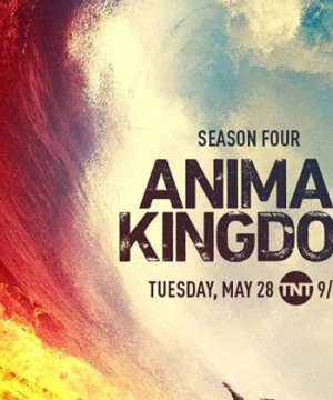 Vương quốc động vật (Phần 4) - Animal Kingdom (Season 4)