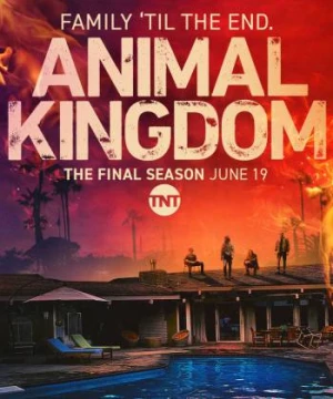 Vương quốc động vật (Phần 6) - Animal Kingdom (Season 6)