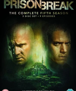 Vượt ngục (Phần 5) Prison Break (Season 5): Sequel