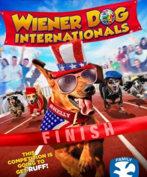 Wiener Dog Internationals - Wiener Dog Internationals