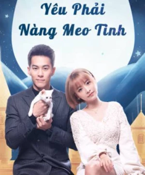 Yêu Phải Nàng Meo Tinh - Falling in Love With Cat